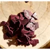028 Violet candle dye 50g