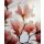 Sugared Magnolia fragrance oil 250g