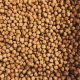 Hazelnut fragrance oil 100g