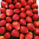 Strawberry fragrance oil 0,97kg