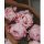 Fresh cut peony fragrance oil 500g