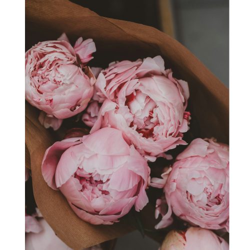 Fresh cut peony fragrance oil 500g