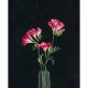 Freesia fragrance oil 500g