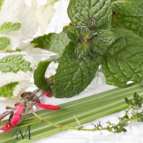 Citromfű illatolaj 50g