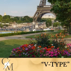 "V-Type" Afternoon in Paris illatolaj 50g