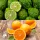"V-Type" Bergamot & Narancs illatolaj 50g