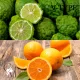 "V-Type" Bergamot & Narancs illatolaj 250g