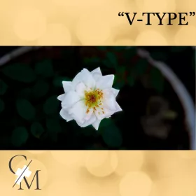 "V-Type" Dark Musk illatolaj 50g