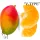 "V-Type" Érett mango mandarinnal illatolaj 100g