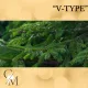 "V-Type" Fenyőerdő (Lucfenyő) illatolaj 500g