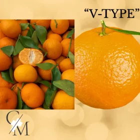   "V-Type" Mandarin & Édes narancs muffin illatolaj 50g