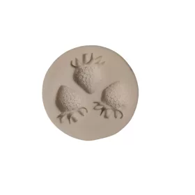 Strawberry silicon mould